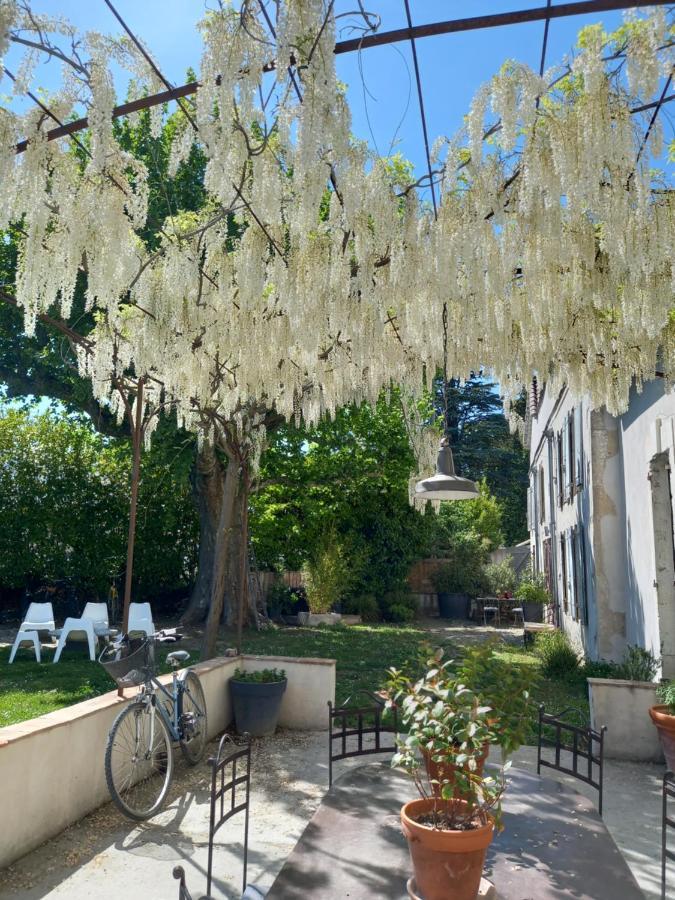 Mas Carita Bed and Breakfast Cabannes Εξωτερικό φωτογραφία