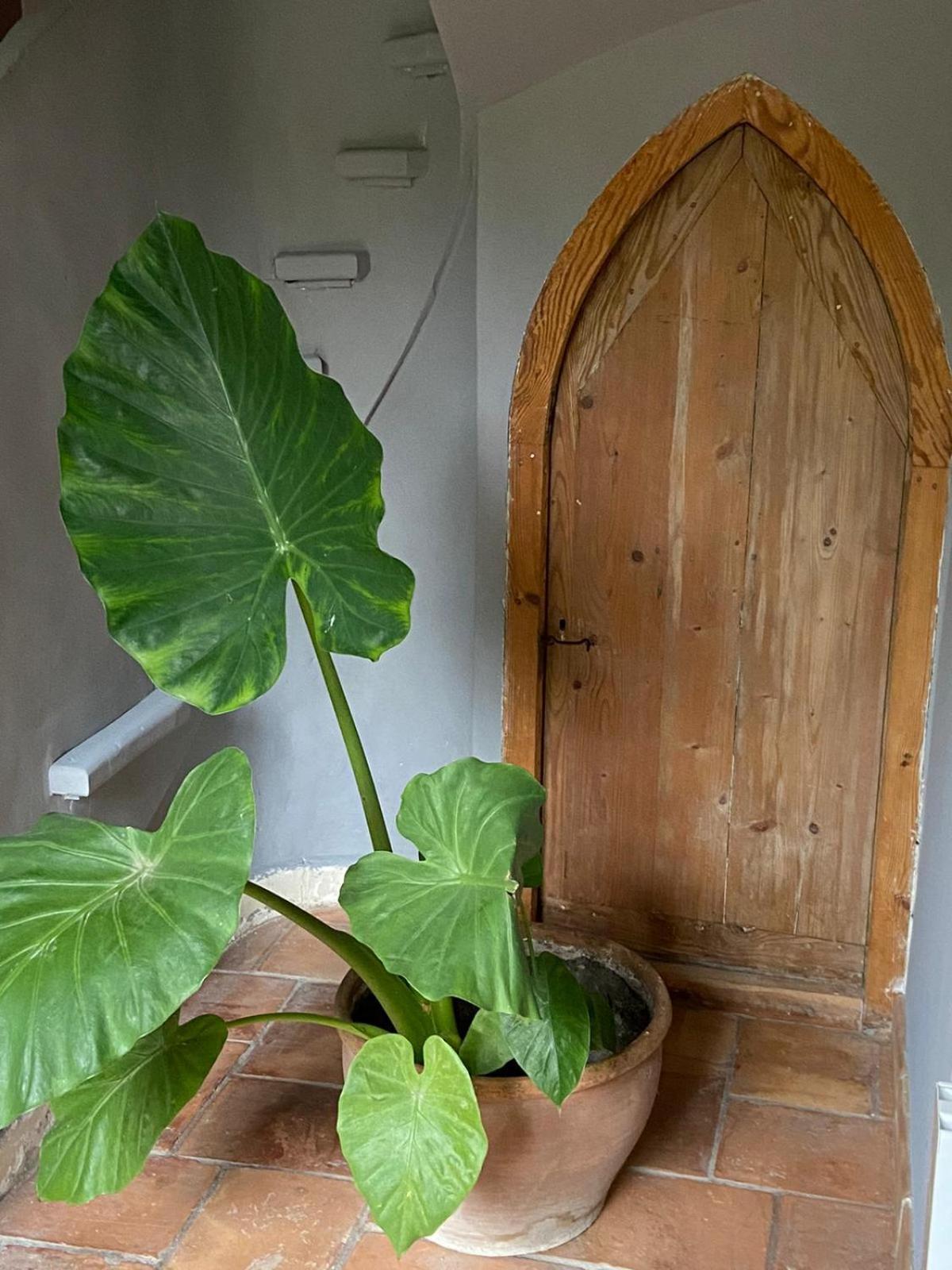 Mas Carita Bed and Breakfast Cabannes Εξωτερικό φωτογραφία